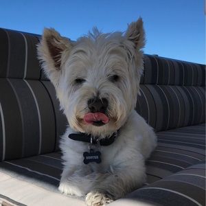 Meet your Posher, Jack